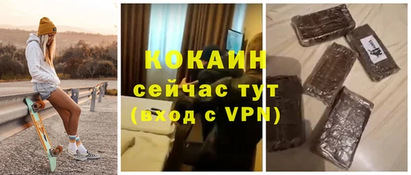 сатива Дмитриев