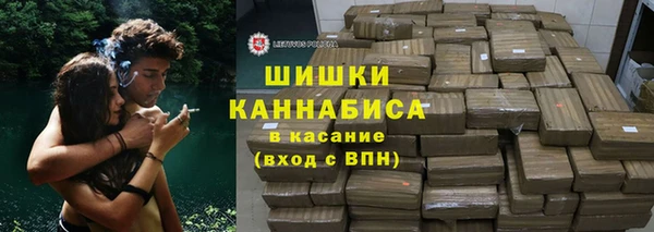 сатива Дмитриев