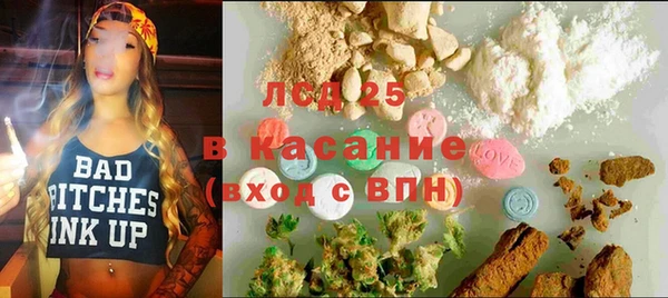 сатива Дмитриев